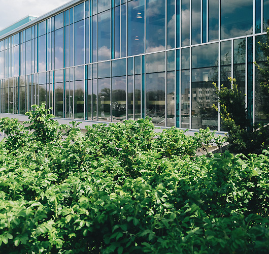 commercial sod installation services in south jersey
