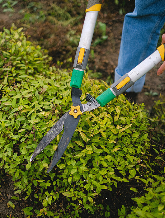 sod maintenance services in south jersey